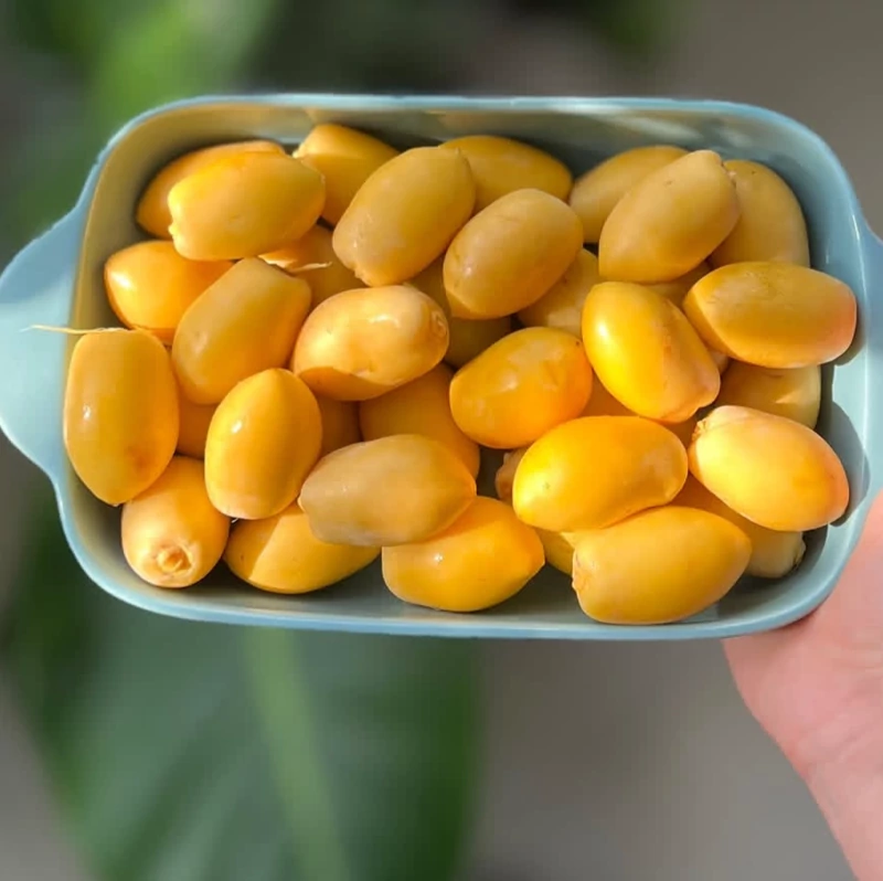 پک خارک تازه وشیرین جنوبی ارسال سریع دوروزه باچاپار