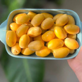 پک خارک تازه وشیرین جنوبی (یک کیلویی)ارسال سریع دوروزه باچاپار