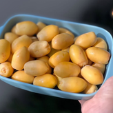 پک خارک تازه وشیرین جنوبی (یک کیلویی)ارسال سریع دوروزه باچاپار