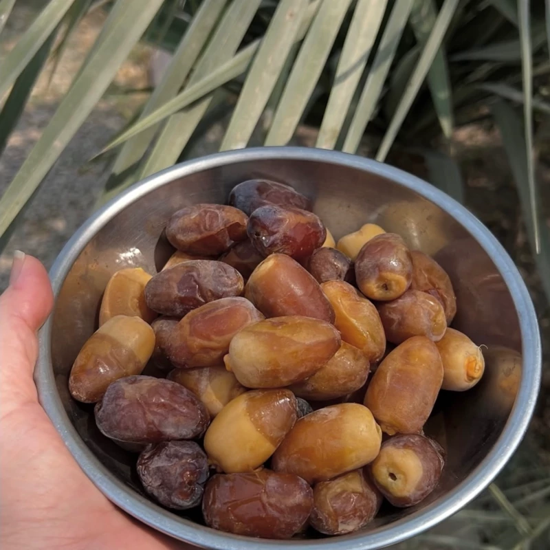 رطب عسلی کبکاب درجه یک درشت( دوکیلویی)