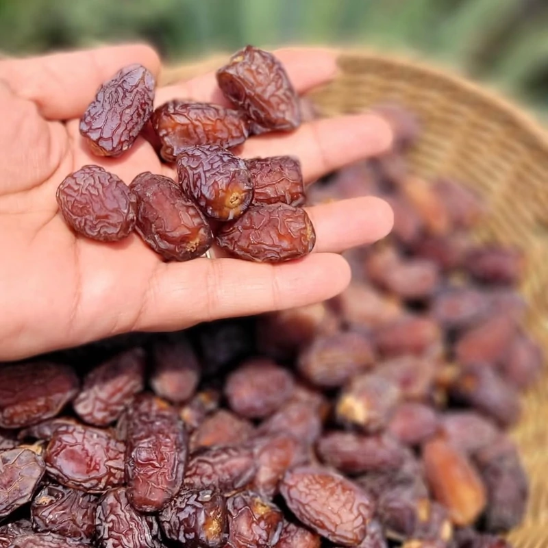 خرما بریمی درجه یک- یک کیلویی