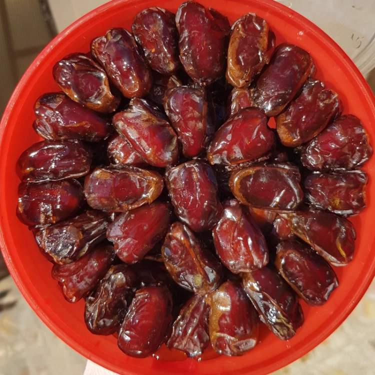 خرمای کبکاب شسته سطلی (دوکیلویی)