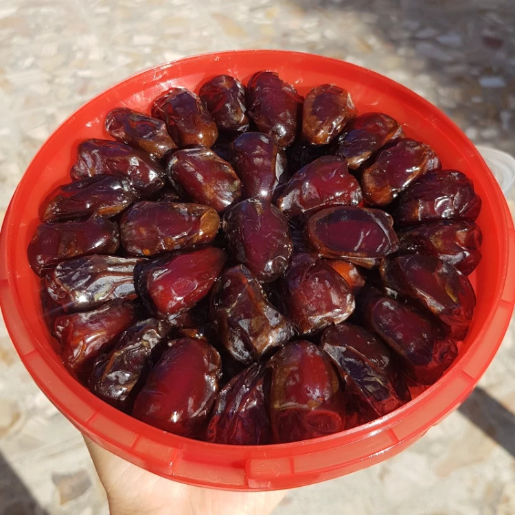 خرمای کبکاب شسته سطلی (دوکیلویی)