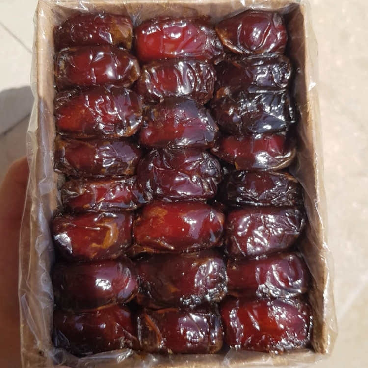 خرمای کبکاب کارتنی (یک کیلوگرم)