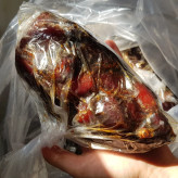خرمای کبکاب با شیره طبیعی بسته بندی خانگی بدون مواد نگهدارنده شسته شده و تمیز خرمای فوق العاده درشت و درجه یک کبکاب