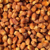 خرما زاهدی