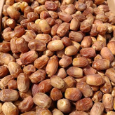 خرما زاهدی