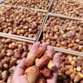 خرما زاهدی