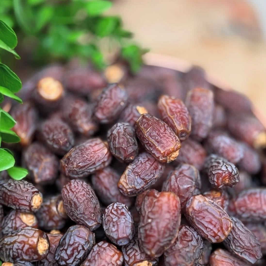 خرما بریمی درشت درجه یک