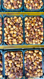 رطب عسلی درشت کبکاب (پک چهار کیلویی) بسته بندی در ظرف