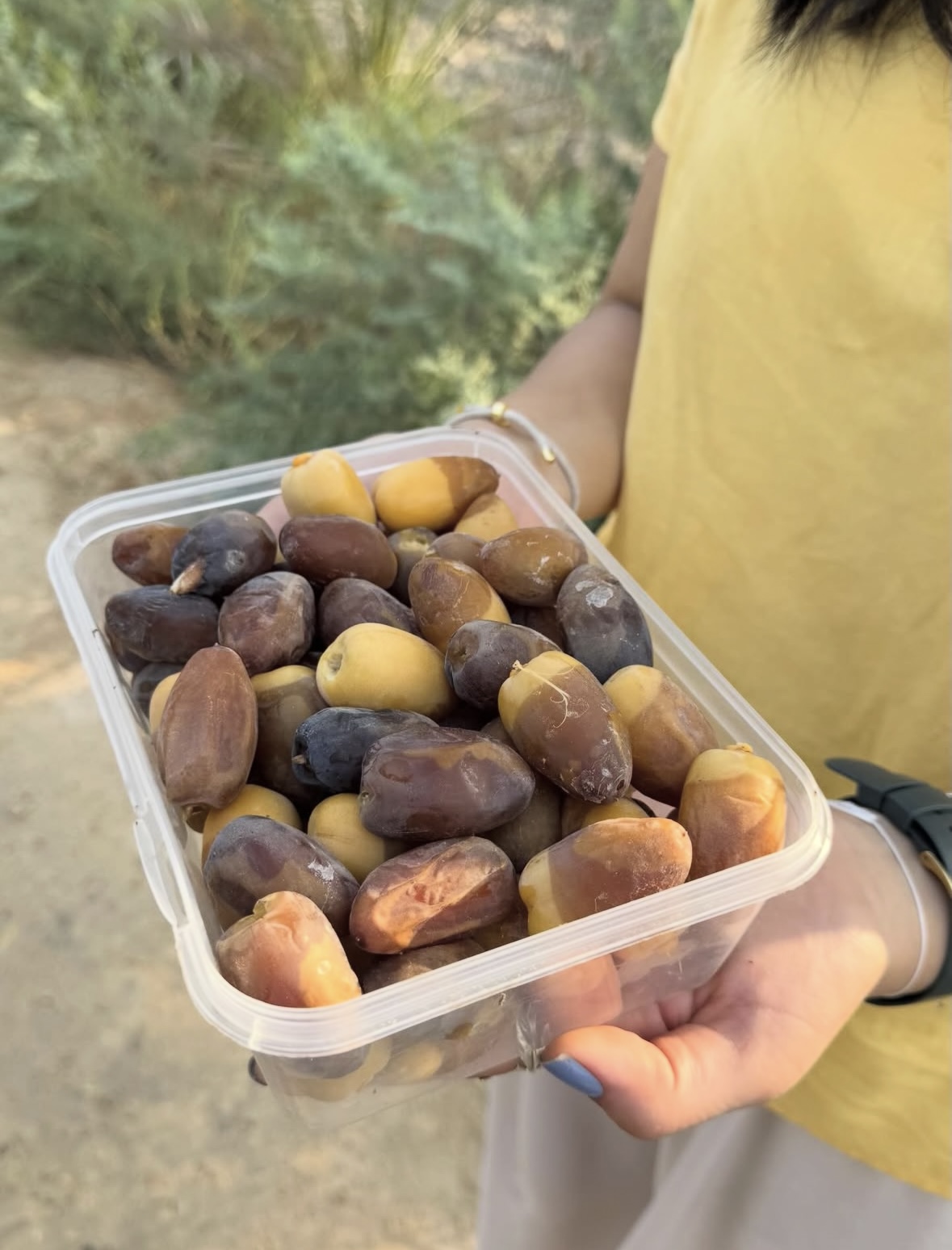 رطب عسلی کبکاب درجه یک درشت